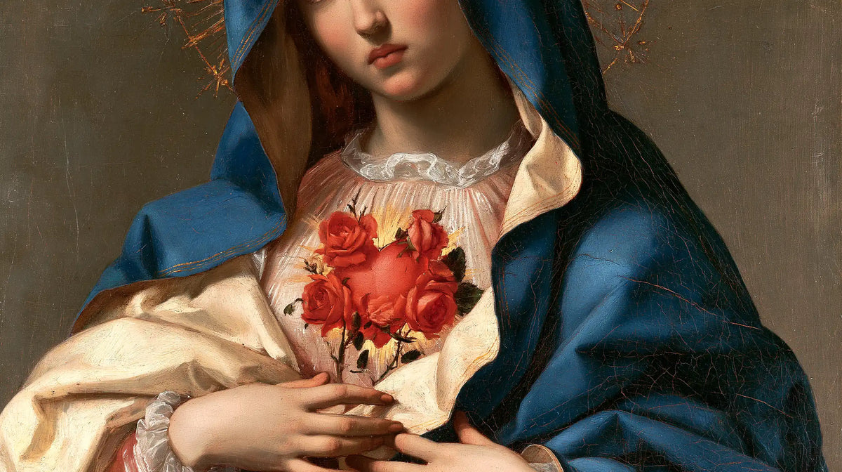 The Immaculate Heart of Mary — Red Roses Beneath the Lace Collar