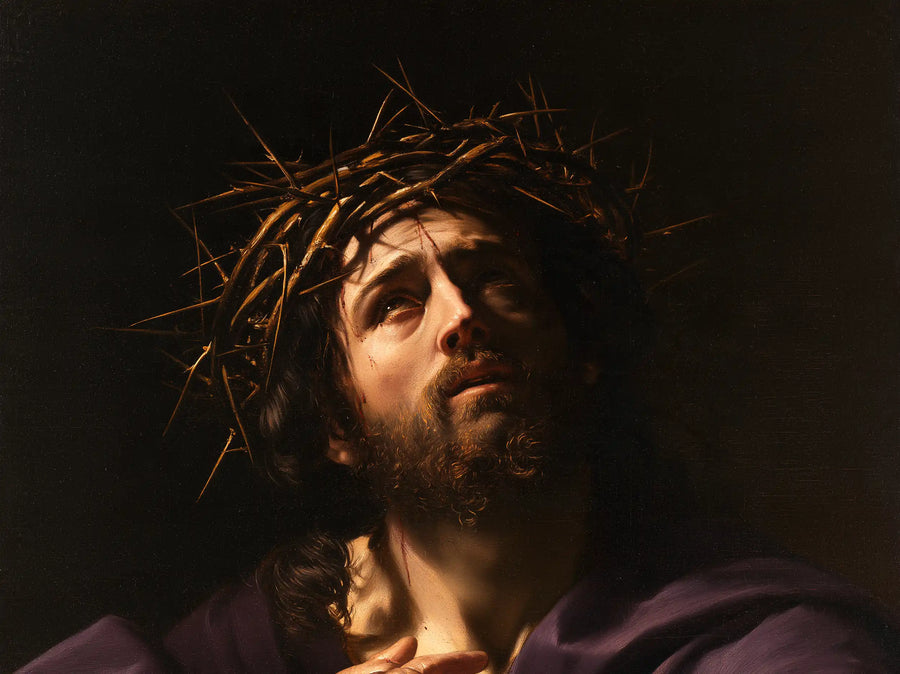 Jesus Crowned with Thorns — Waiting beneath the Open Crown