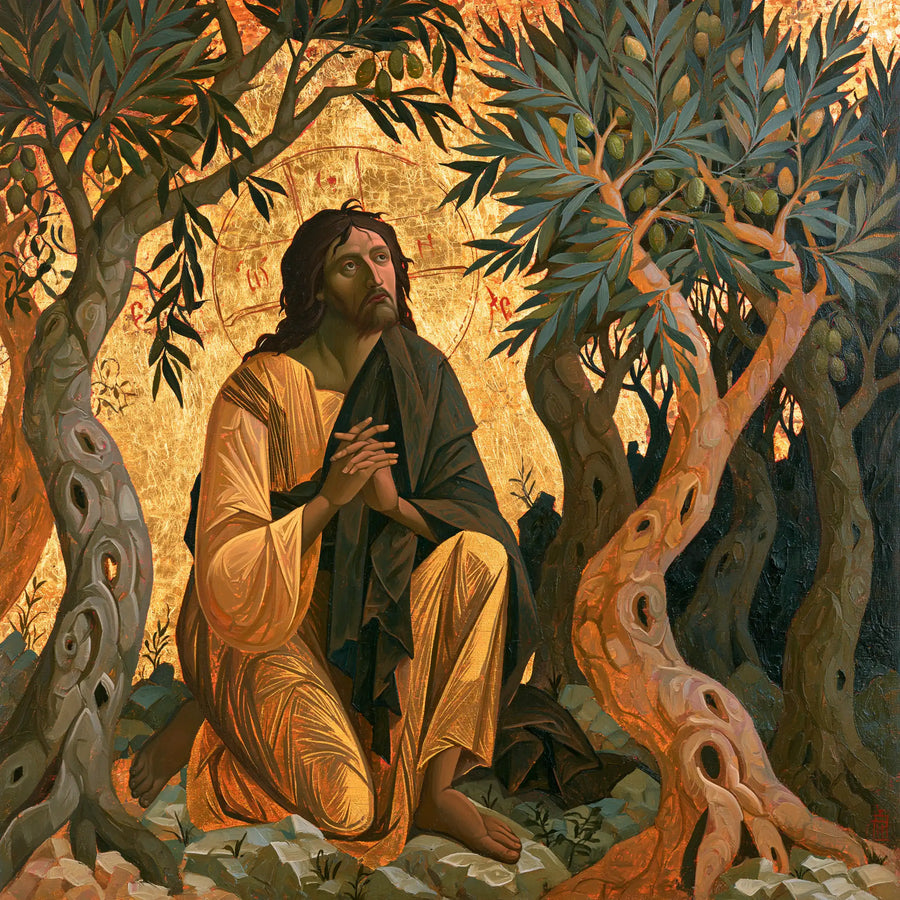 Jesus in Gethsemane — The Gaze among Sage Olive Trees